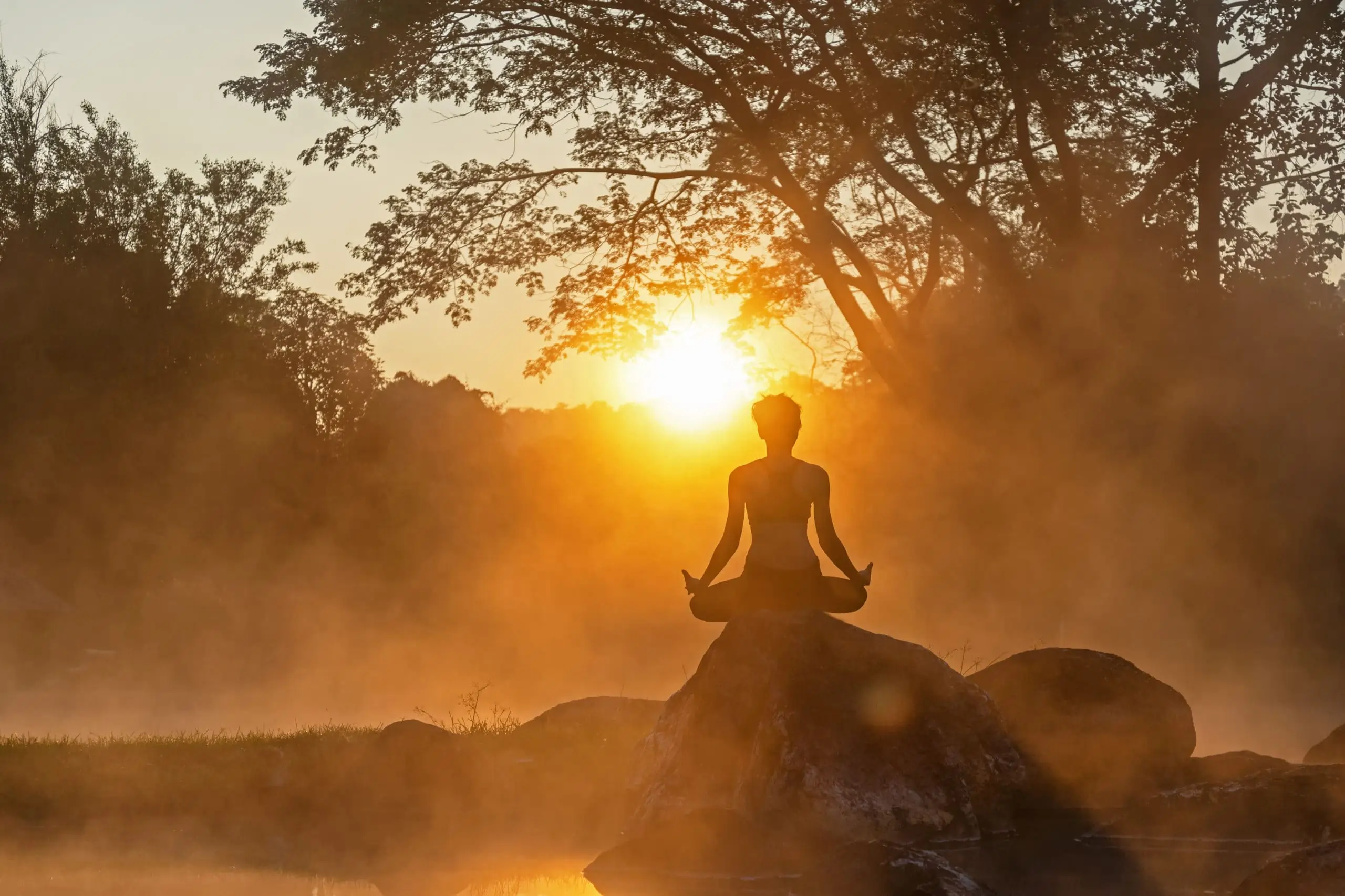 Formation posturale crânio-sacrée