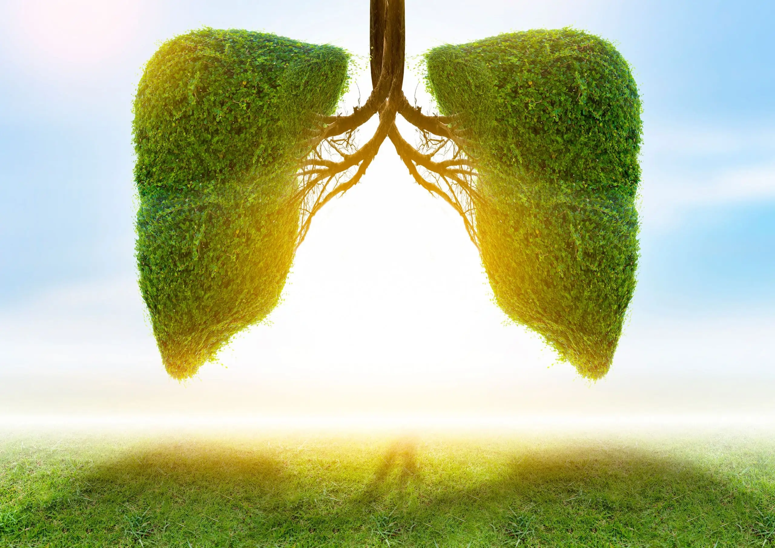 Ro An Method Ro An Method